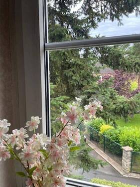 Ausblick aus Zimmer 3 OG - 