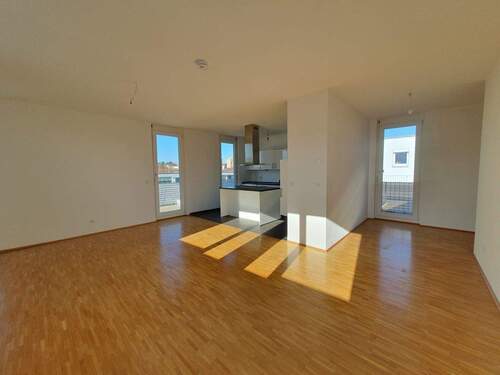 IMG-20251113-WA0031.jpg - 