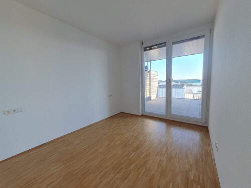 IMG-20251113-WA0026.jpg - 