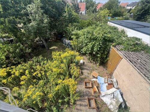 Blick vom DG in den Garten - 