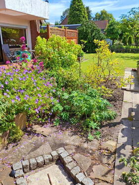 Garten vorne - 