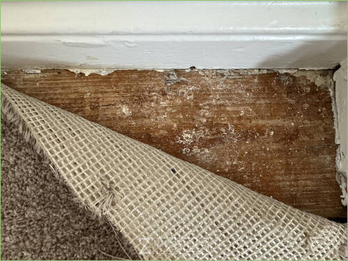 Holzdielen unter dem Teppich - 