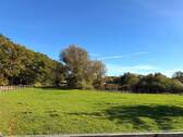 Weide - 