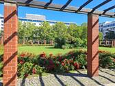 Umgebung - 