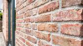 Bild 10 - 