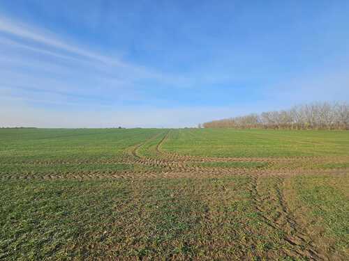 Angrenzendes Feld - 