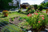 Gemüsegarten - 