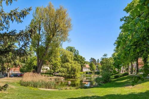 Dorfteich - 
