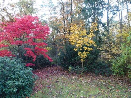 Garten - 6 Zimmer Einfamilienhaus zum Kaufen in Dickel / Dönsel