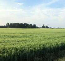 547 m² Baugrundstück für ein Einfamilienhaus (Grundstück 06) - Wiesenburg/Mark