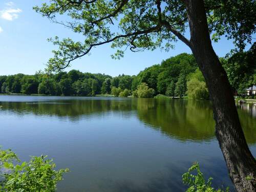 Stadtpark Außenmühle - 