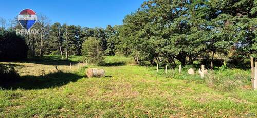 Pferdekoppel gegenüber - 