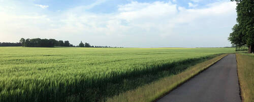 Felder-Wege-Wiesenburg neu.jpg - 547 m² Baugrundstück für ein Einfamilienhaus (Grundstück 07)