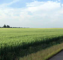 547 m² Baugrundstück für ein Einfamilienhaus (Grundstück 07) - Wiesenburg/Mark