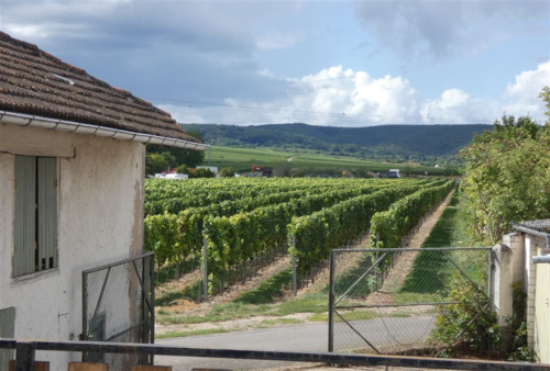 Hinterhaus Weitblick von Terrasse - Zwei Häuser mit Weinbergsblick - sanierungsbed. Schmuckstück