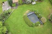 Teich - 