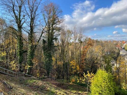 Blick nach Westen (3) - 