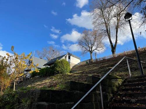 Frisch gerodet (1) - 