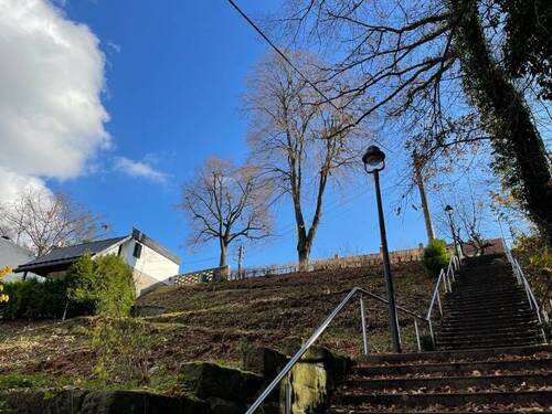 Frisch gerodet (2) - 