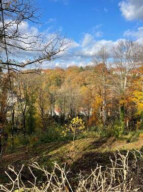 Blick nach Nordwesten - 