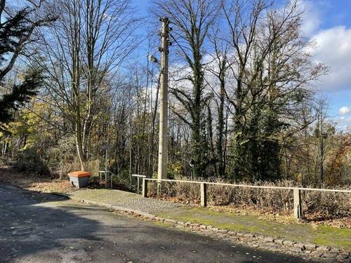 Blick nach Westen (1) - 