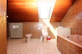 Tageslichtbad/WC - 