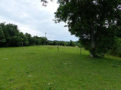 Ansicht Grundstück - Selbstversorgerhof bei Belgern mit Scheune, Nebengelass und Garten wartet auf kreative Gestalter!