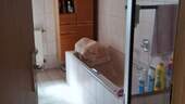 EG Bad mit Wanne/Dusche/Fenster - 