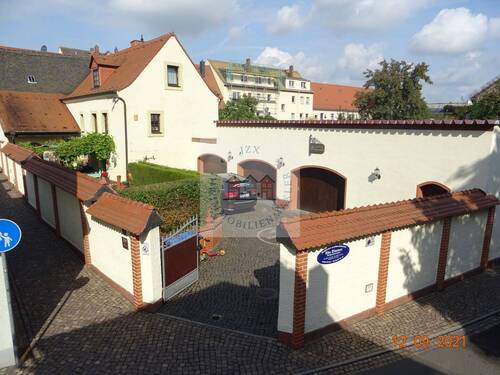 Gesamtanwesen - 7 Zimmer Einfamilienhaus zum Kaufen in Grimma