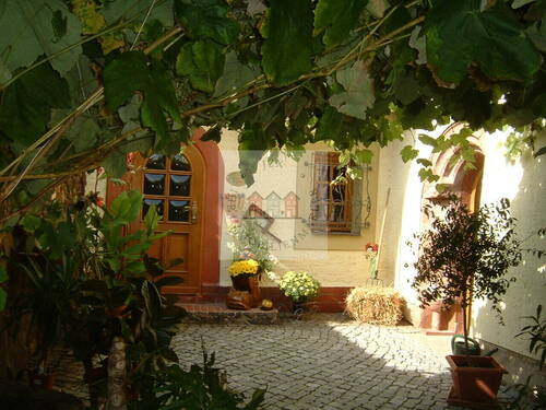 Eingang Haus - 