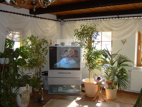 Wohnzimmer - 