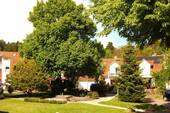 Dorfplatz - 