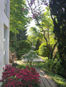 Garten-Eingang.PNG - 