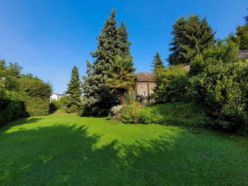 Garten - 