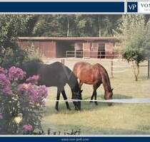 Ein Traum für Pferdehalter - 470.000,00&nbsp;EUR Kaufpreis, ca.&nbsp; 150,00&nbsp;m&sup2;&nbsp;Wohnfl&auml;che in Oetzen (PLZ: 29588)