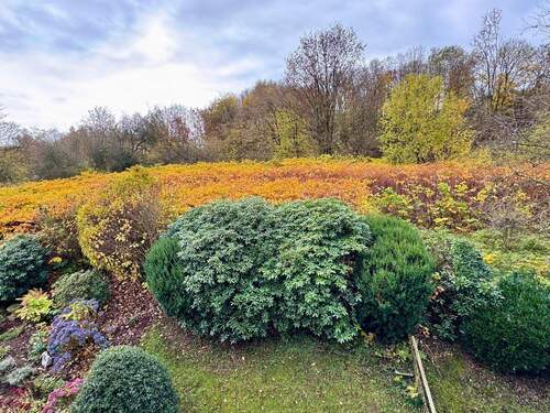 3. Ausblick.jpg - Etagenwohnung mit 55,00 m&sup2; in Lüdenscheid zum Kaufen