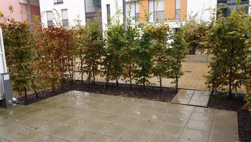 Großzügige Terrasse - Etagenwohnung mit 54,50 m&sup2; in Mönchengladbach zur Miete