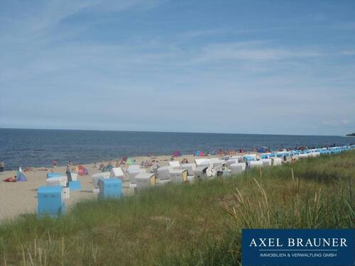Strand - 