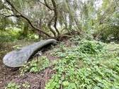 Kanu am See - 