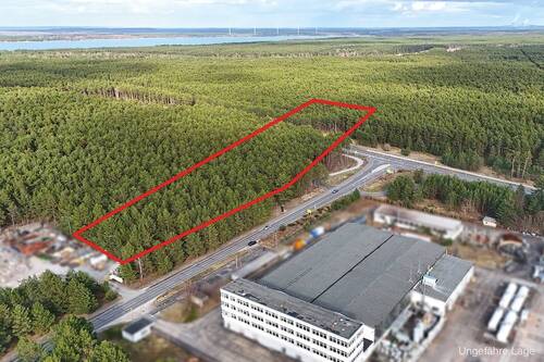 Luftaufnahme von links - 1,6 ha Waldfläche an der Stadtgrenze von Hoyerswerda