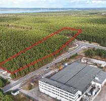 1,6 ha Waldfläche an der Stadtgrenze von Hoyerswerda