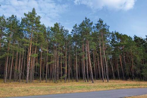 Straßenansicht - Grundstück in Hoyerswerda zum Kaufen