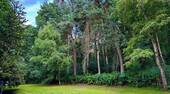 Wald - 