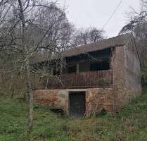 Weinberghaus 13 km von Lenti entfernt, Strom, Trinkwasser aus Brunnen, wetterfeste Straße - Páka/Lenti