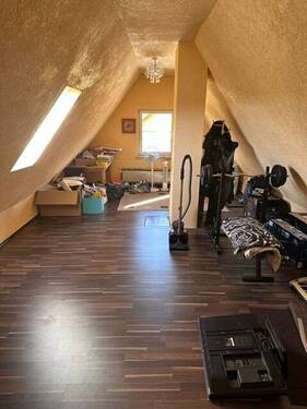 Dachspitz - 