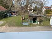 IMG_8658 - 