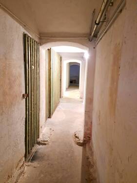 gepflegter Keller - 