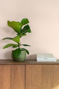 Detailaufnahme - 
