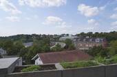 Pflanzbeete - 