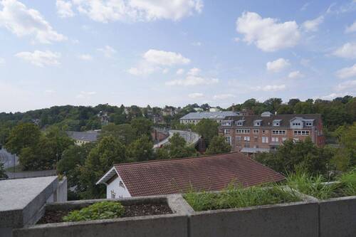 Pflanzbeete - 
